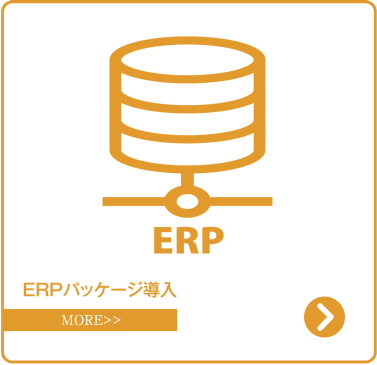 EPR/パッケージ導入