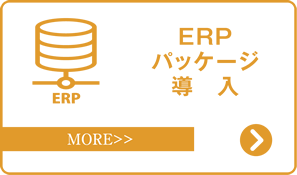 ERPパッケージ導入